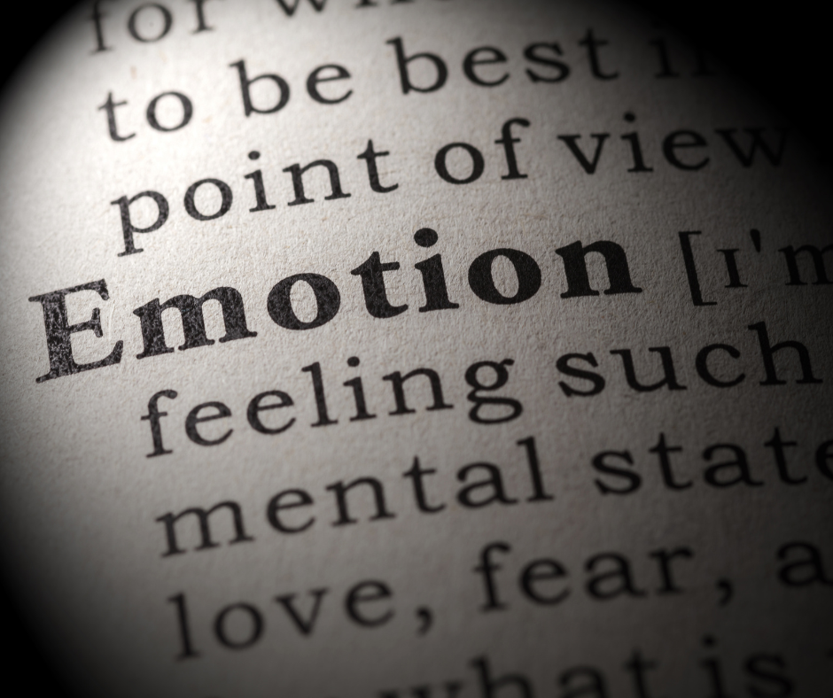 zoomed in text book definition of word emotion