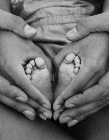 pexels-alexandro-david-871783-1912359